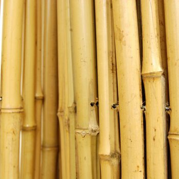 גדר במבוק מושחל 16-24 מ"מ