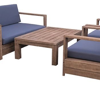 מערכת גן אסף