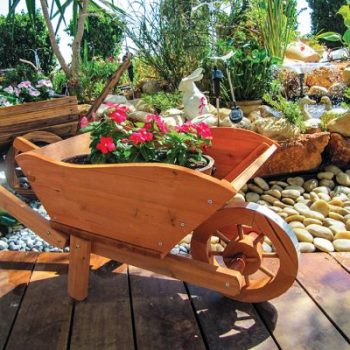 אדנית דגם מריצה