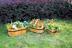 שלוש אדניות אדווה