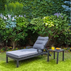 מיטת שיזוף פלורידה