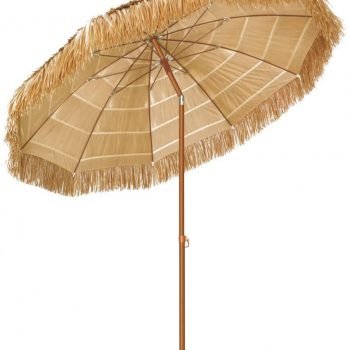 שמשית חוף אפריקאית