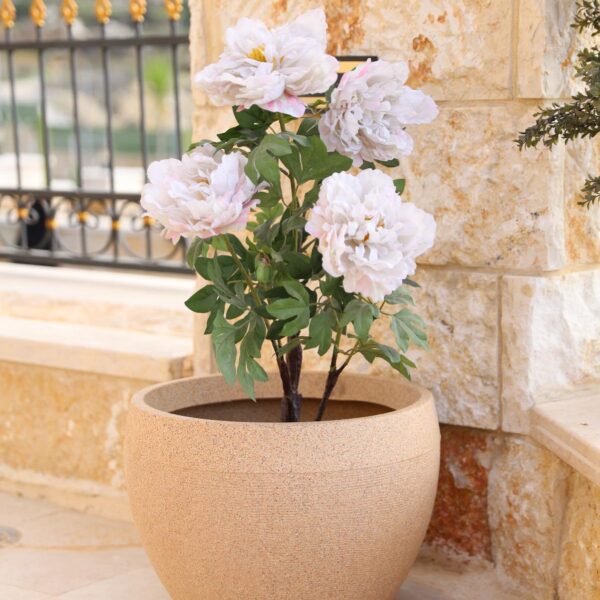 אדנית דגם שרי