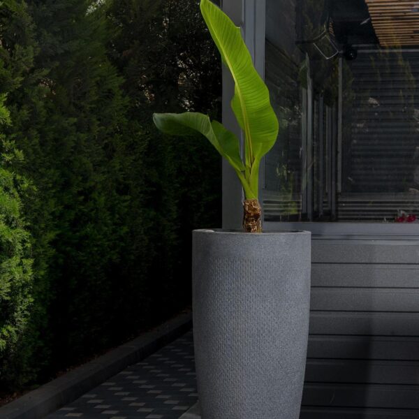 אדנית עגולה גבוהה דגם קיווי