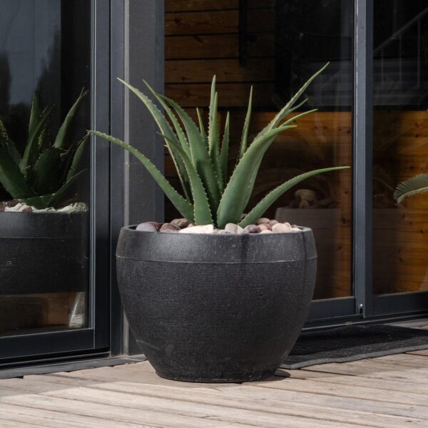 אדנית דגם שרי