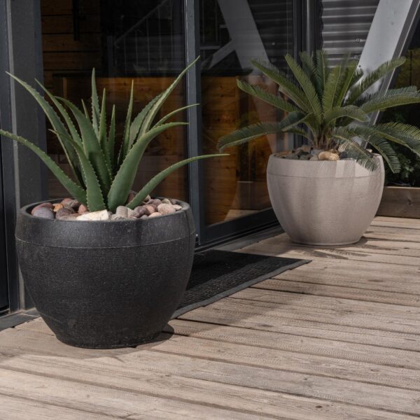 אדנית דגם שרי